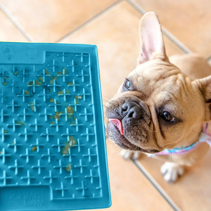Lickimat Dog Classic Buddy Turquoise
