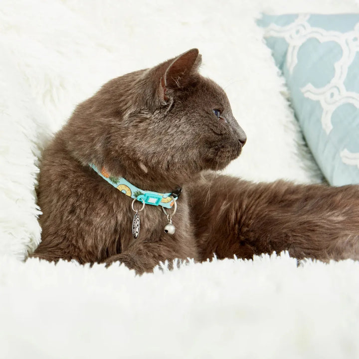 MAX & MOLLY SMART ID CAT COLLAR 