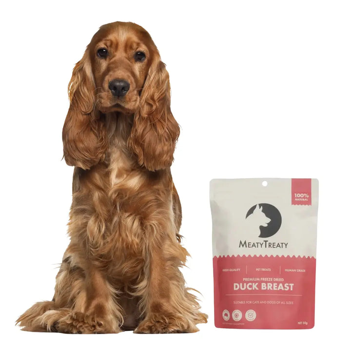 Meaty Treaty Freeze Dried Duck Breast