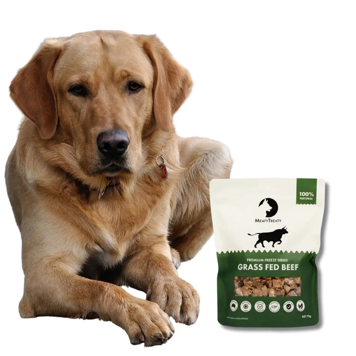 Meaty Treaty Freeze Dried Grass Fed 