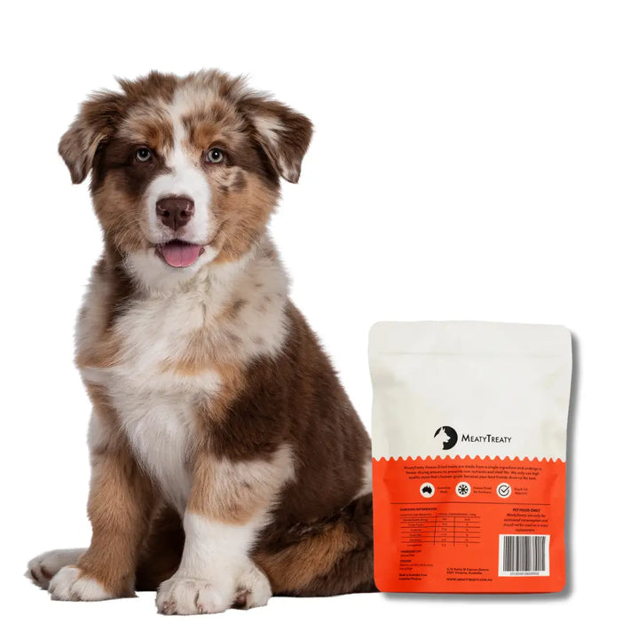 Meaty Treaty Freeze Dried Salmon Fillet Dog & Cat