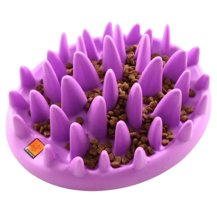 NORTHMATE SLOW FEEDER FOR CATS