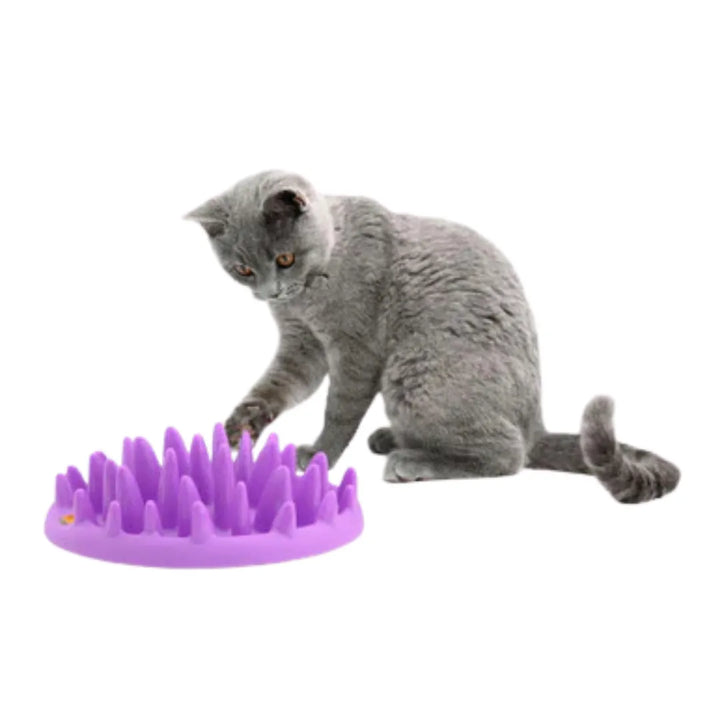 NORTHMATE SLOW FEEDER FOR CATS PURPLE