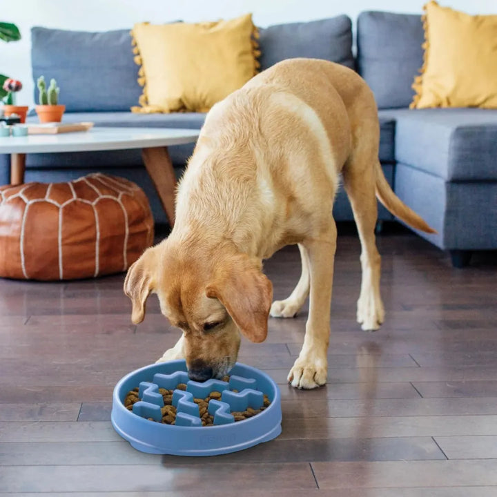 Outward Hound Fun Feeder Notch Blue