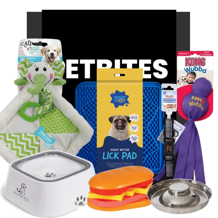 Take Me Home Blue Puppy Pack