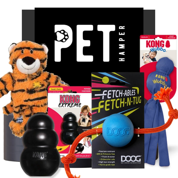 Puppy Toy Bundle