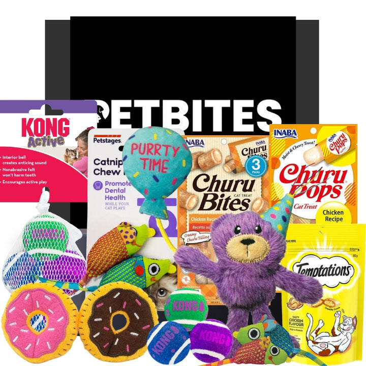 Happy Birthday Kitty Cat Hamper
