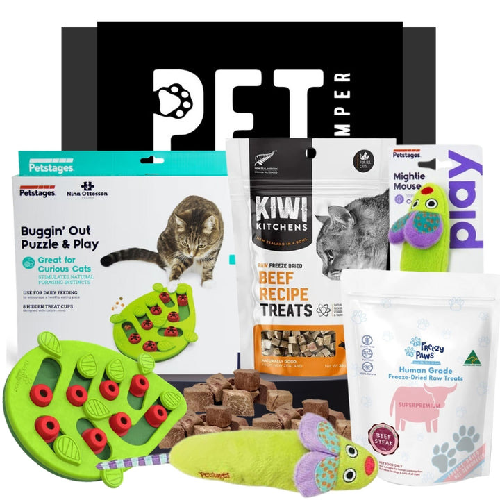 Tinker Kitty Cat Bundle