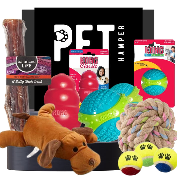 Pawfect Toy Bundle
