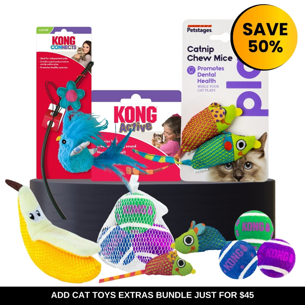 Cat Toys Extras Bundle