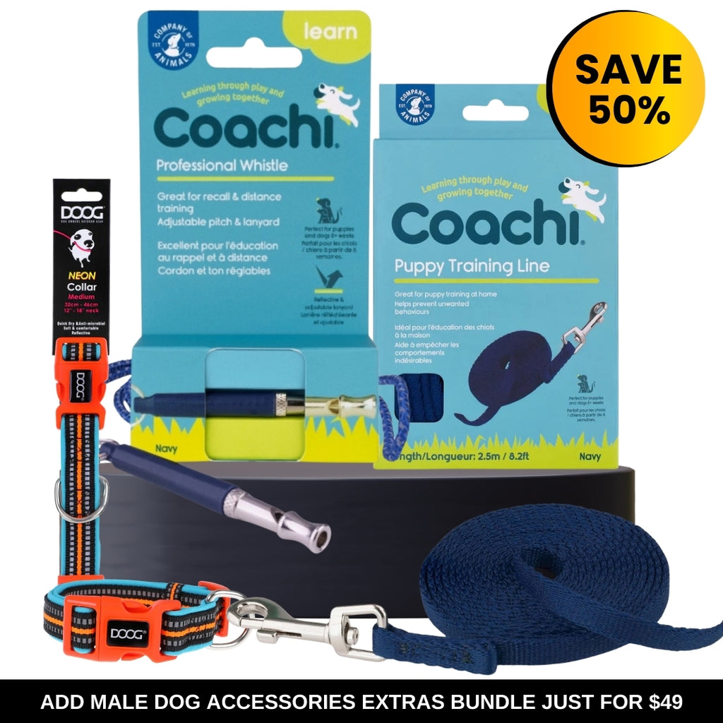 Male Dog Accessories Extras Bundle