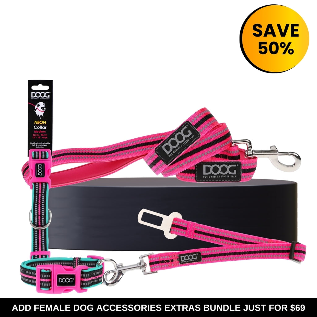 Female Dog Accessories Extras Bundle
