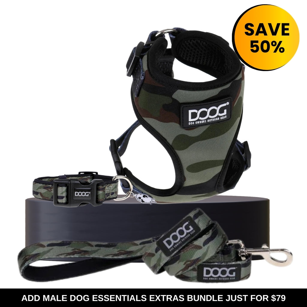 Male Dog Essentials Extras Bundle
