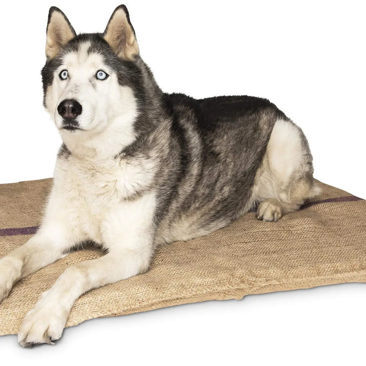 SUPERIOR DOG MAT FOAM
