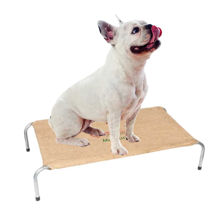  Superior Steel Framed Dog Bed Jmb 