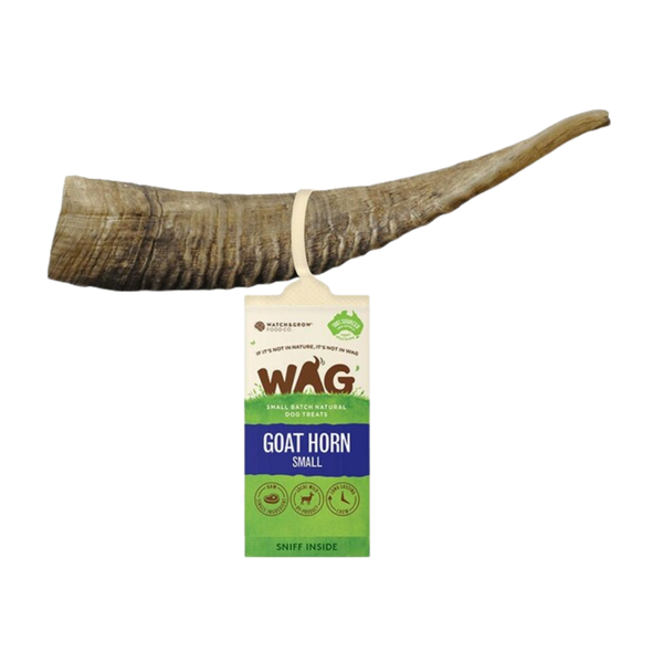 WAG Goat Horn Small