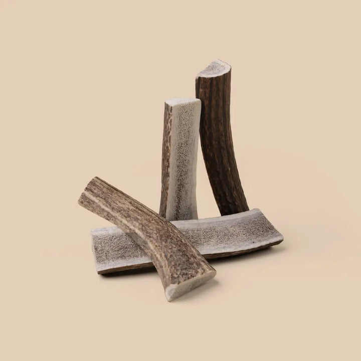 WAG Antler 