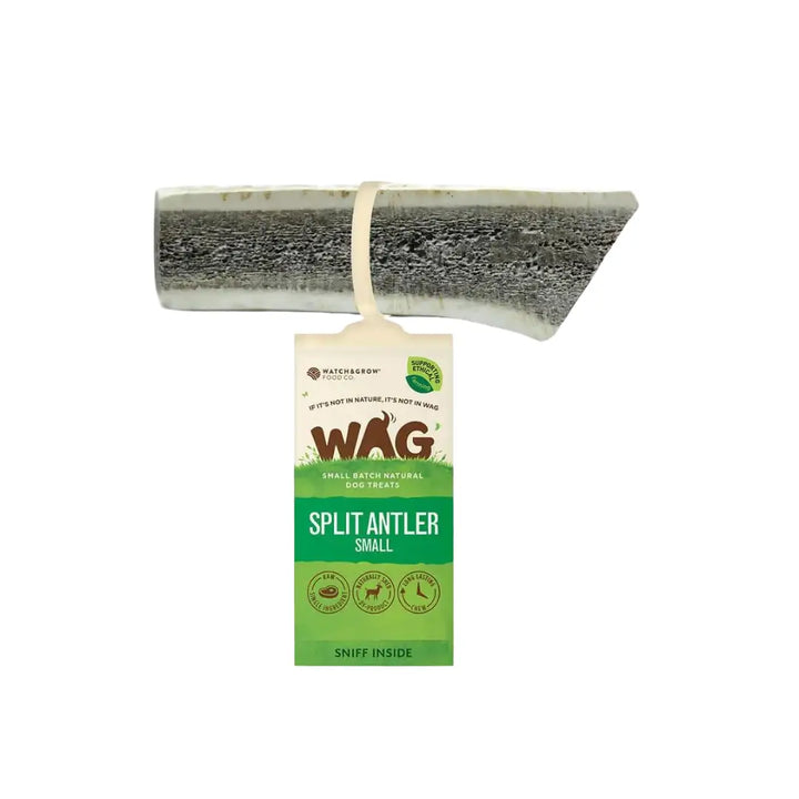 WAG Antler Split 