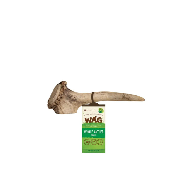 WAG Antler Whole Small