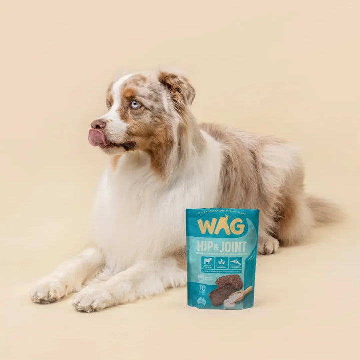 WAG Beef Jerky Hip & Joint 10pc vv