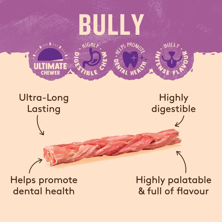 WAG Bully Stick Large 1