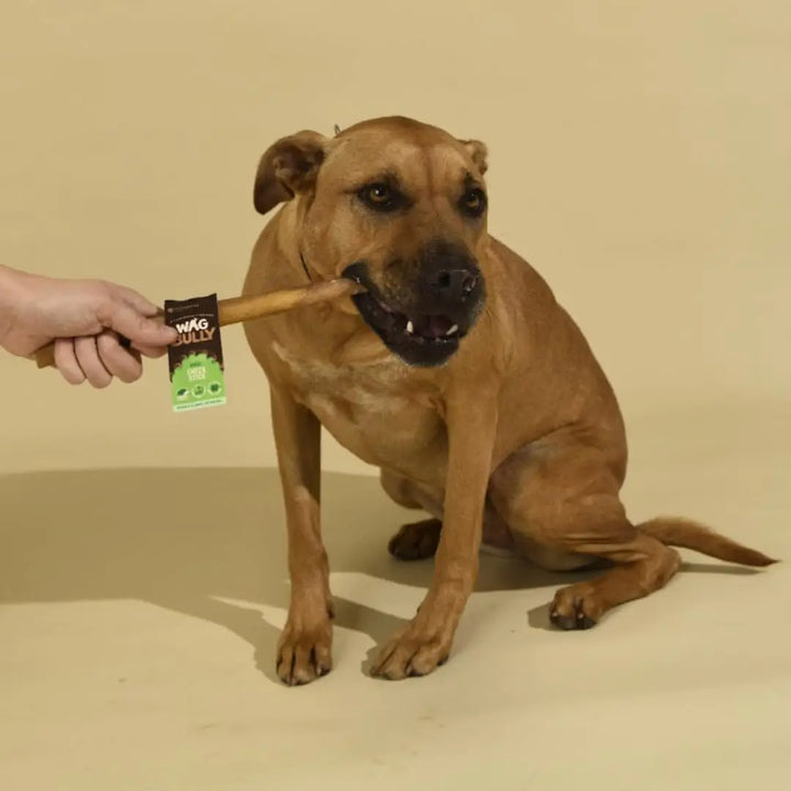 WAG Cheek Stick