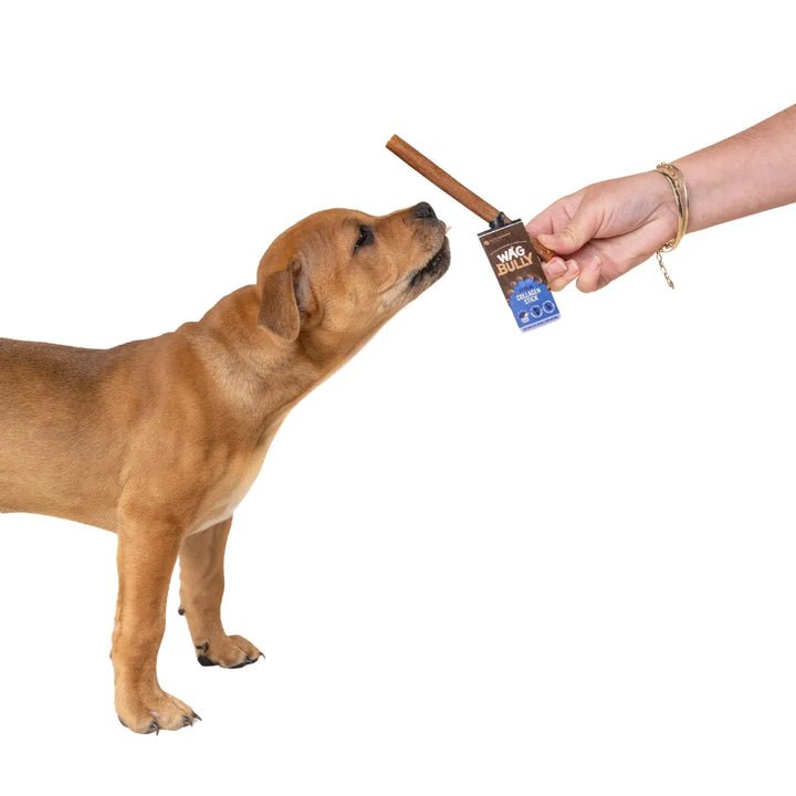 WAG Collagen Stick Regular 4 Pack