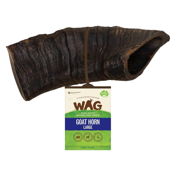WAG Goat Horn Large