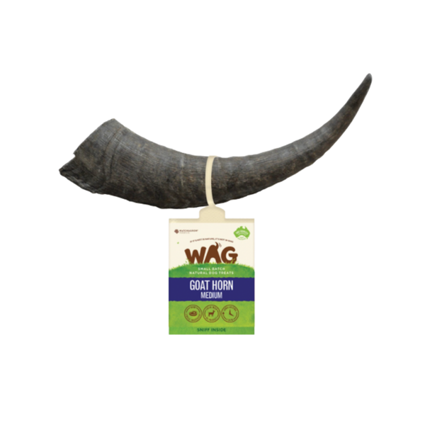 WAG Goat Horn Medium