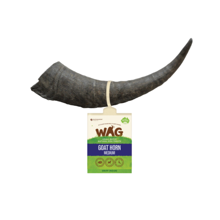 WAG Goat Horn Medium