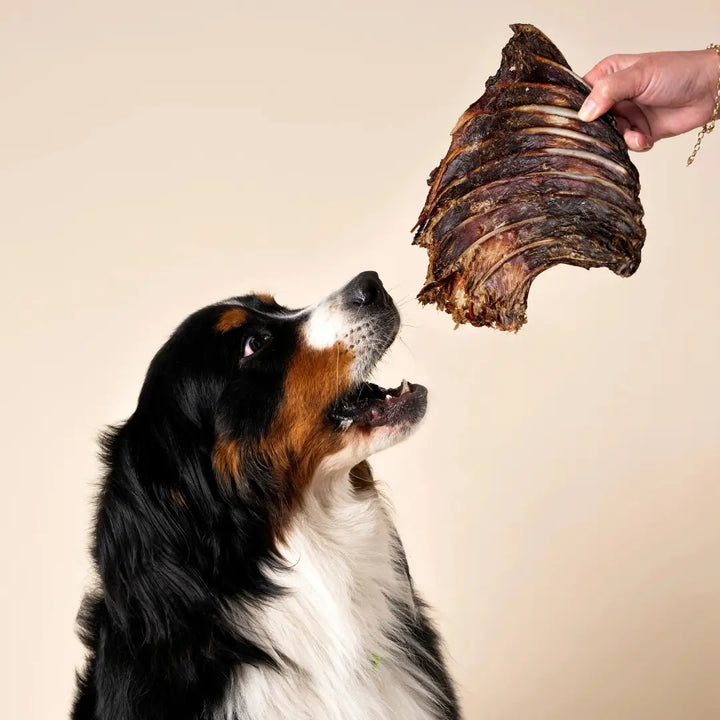 WAG Kangaroo Rib Rack