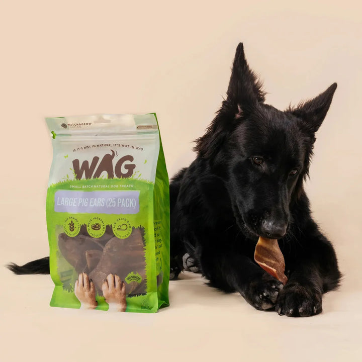 WAG Pig Ear Large 5 Pack