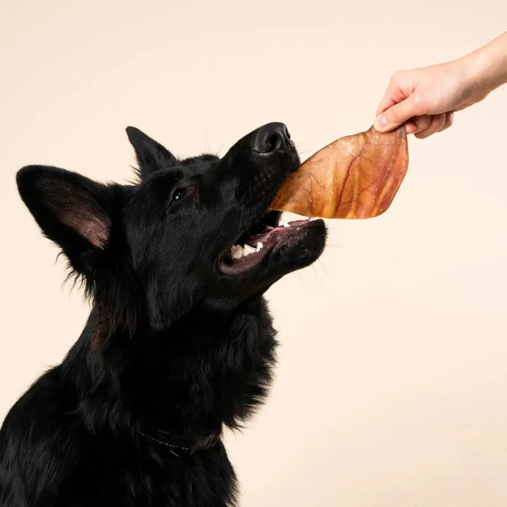 WAG Pig Ear Single