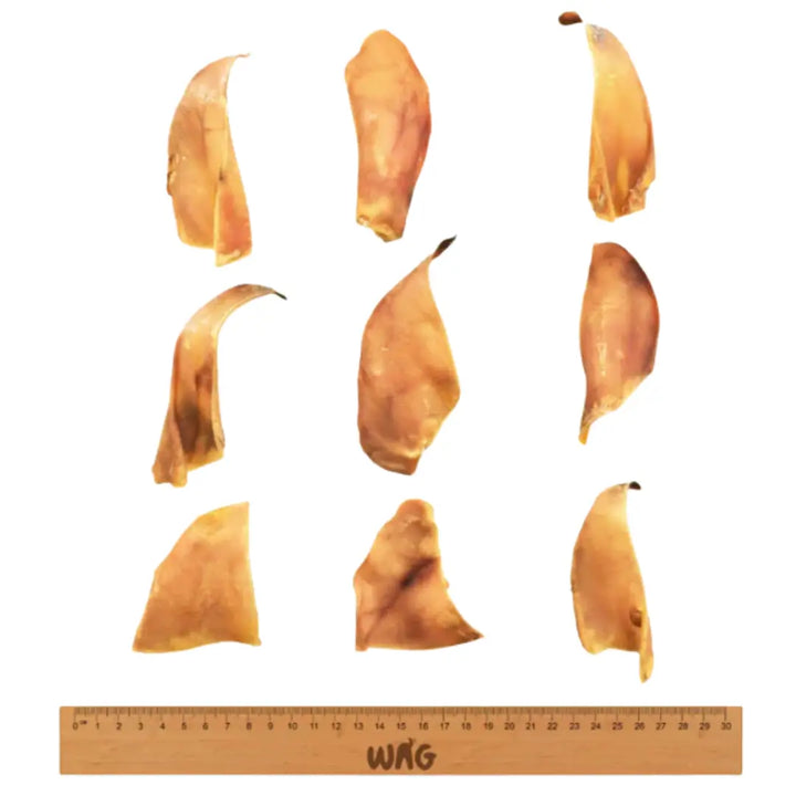 WAG Pig Ear Small