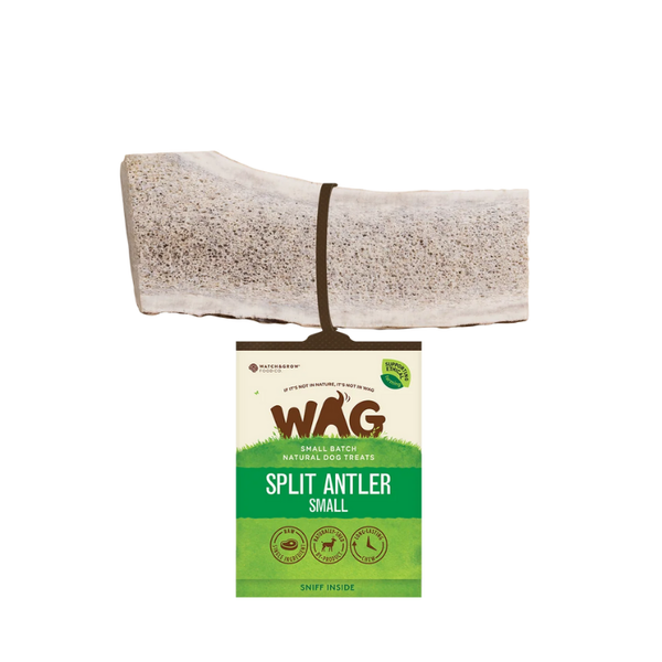 WAG Antler Split Small