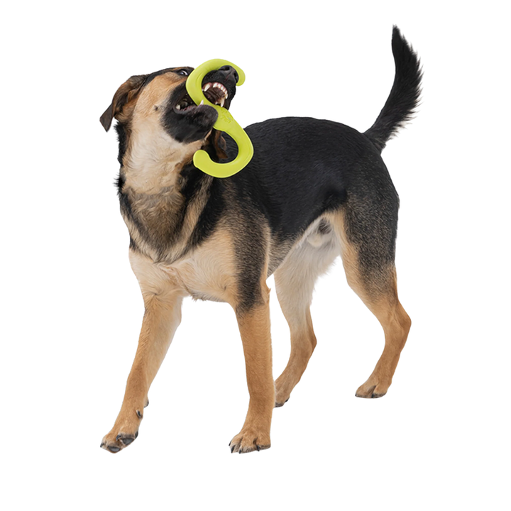 WEST PAW BUMI FETCH TOY - LARGE - GRANNY 