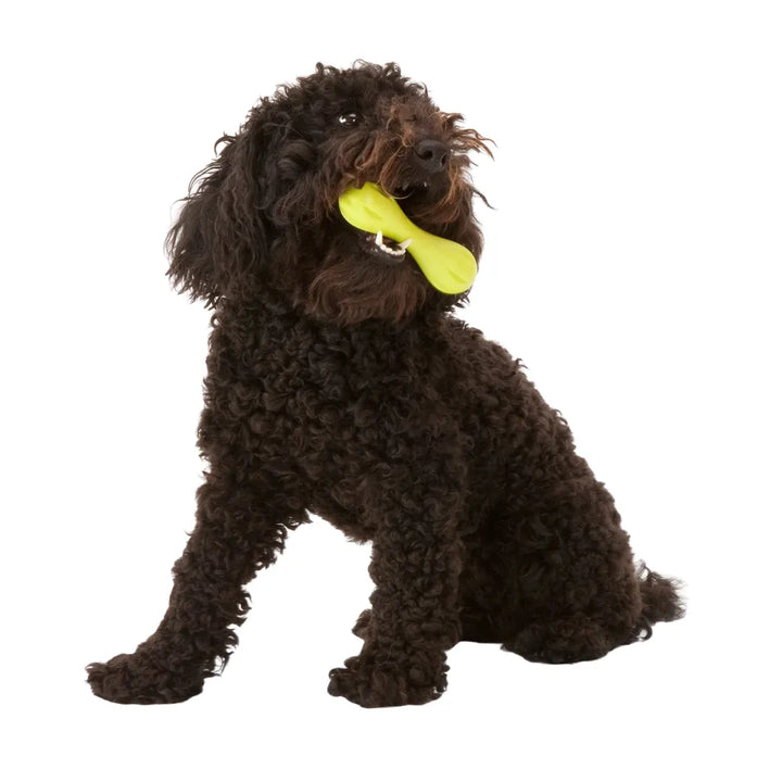 WEST PAW HURLEY TOUGH FETCH TOY - LARGE 