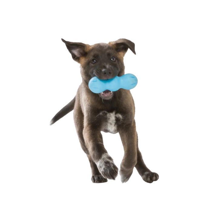 WEST PAW HURLEY TOUGH FETCH TOY - SMALL 