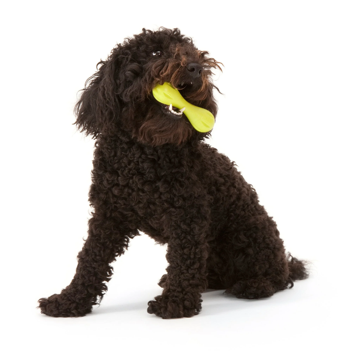 WEST PAW HURLEY TOUGH FETCH TOY - SMALL 