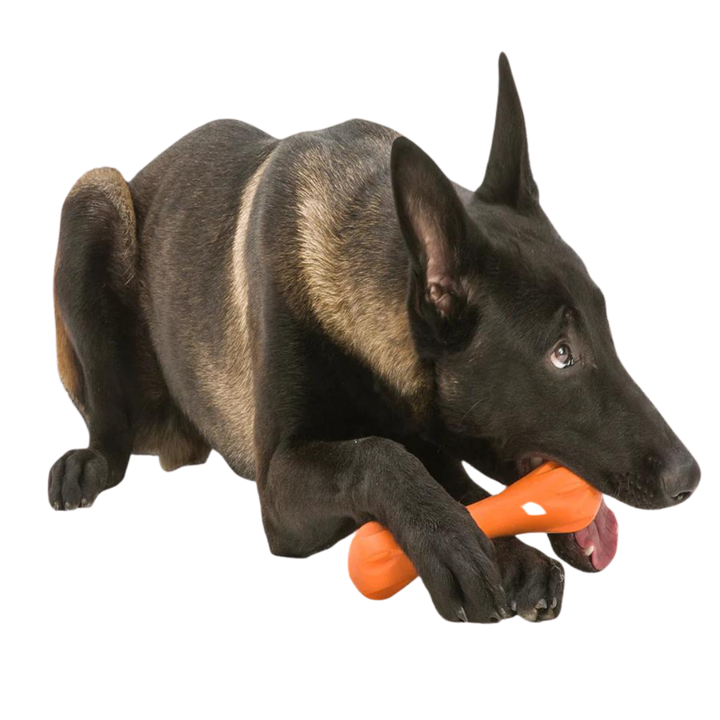 WEST PAW HURLEY TOUGH FETCH TOY - SMALL