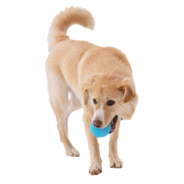 WEST PAW JIVE TOUGH BALL - SMALL