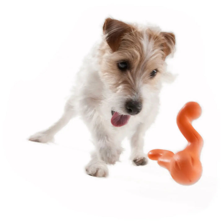 West Paw Tizzi Puzzle Toy 