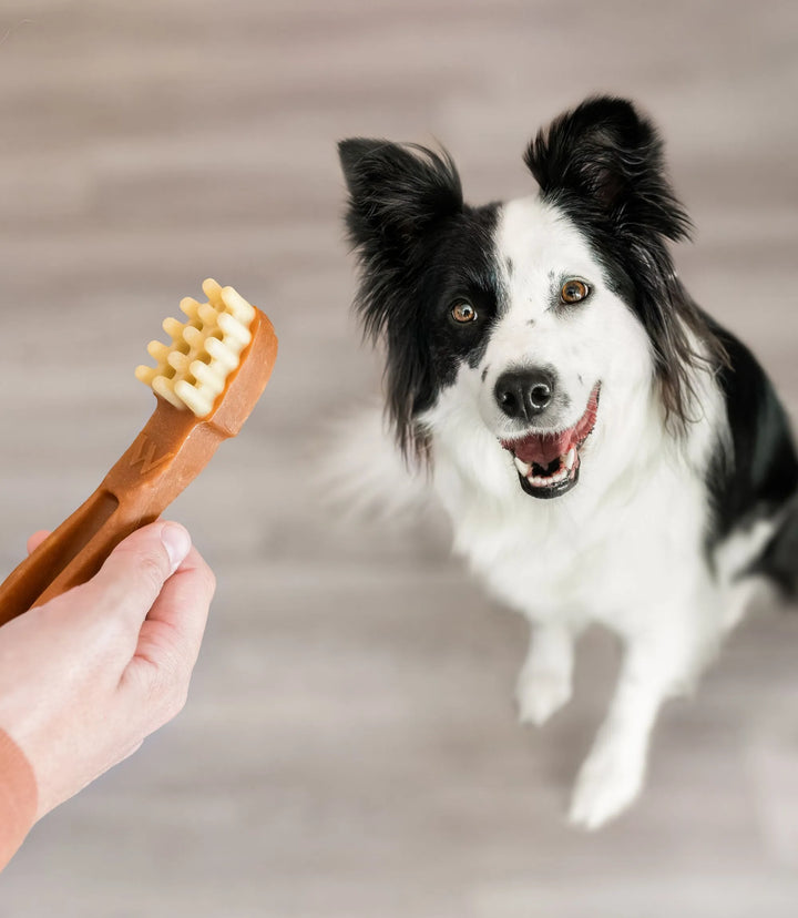 whimzees toothbrush