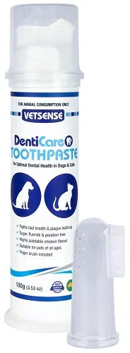 VETSENSE DENTICARE TOOTHPASTE KIT 100G