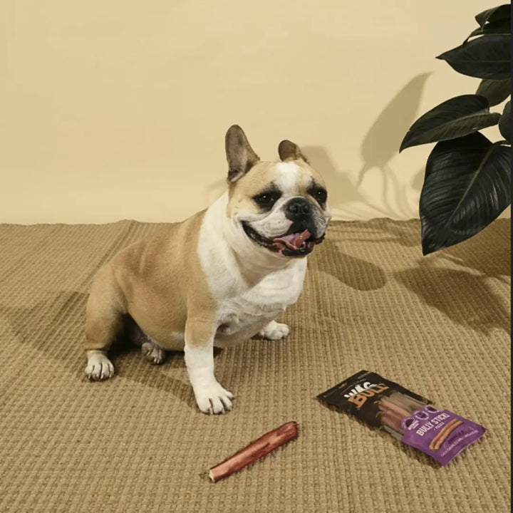 Wag Bully Stick Regular
