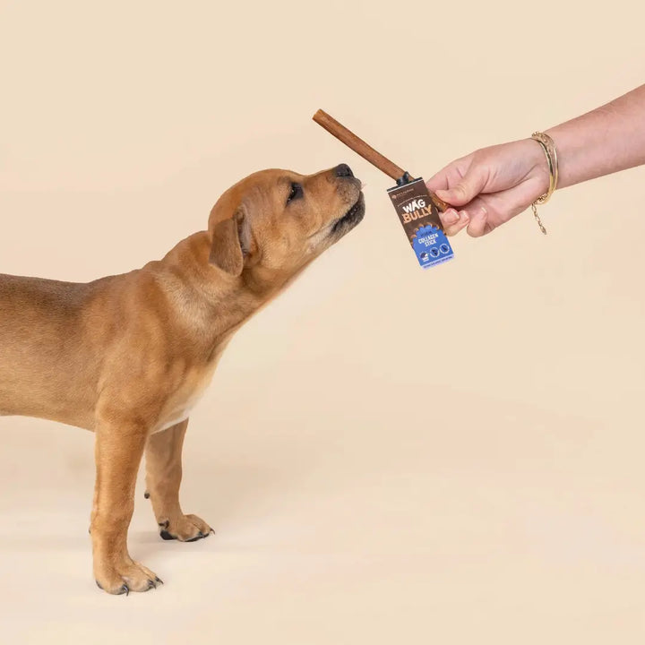 Wag Collagen Stick