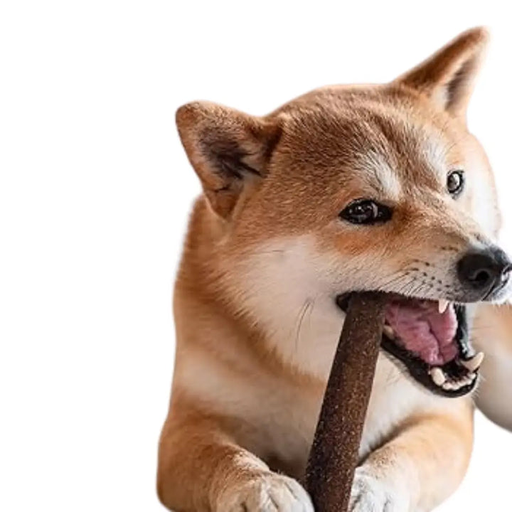 Wag Collagen Stick
