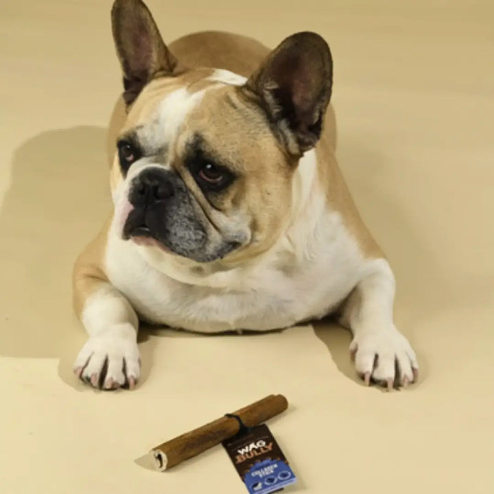 Wag Collagen Stick