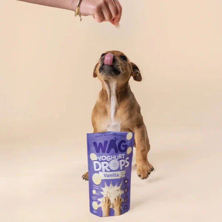Yoghurt Drops Vanilla