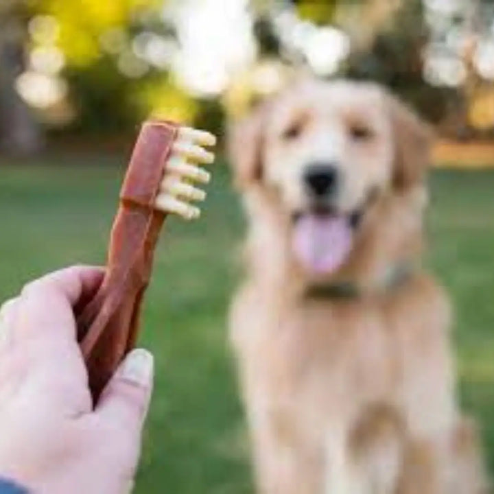 Whimzees Toothbrush M 